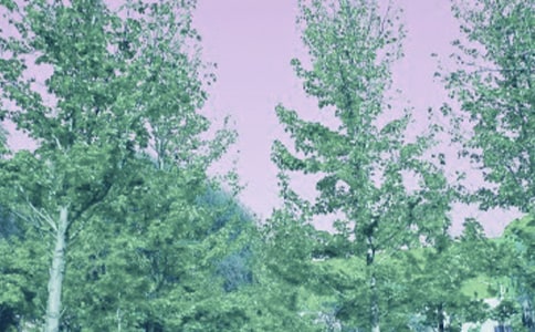 ���L(f��ng)���ꡡУ����ò��