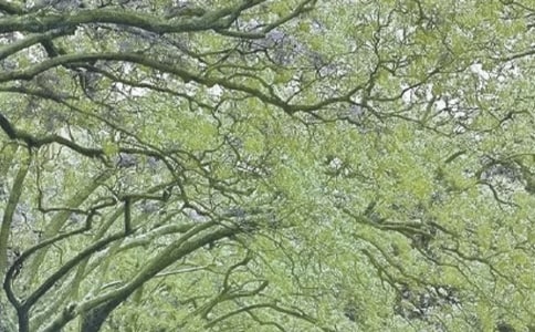 �����L(f��ng)�Є�(d��ng)�������Y(ji��)