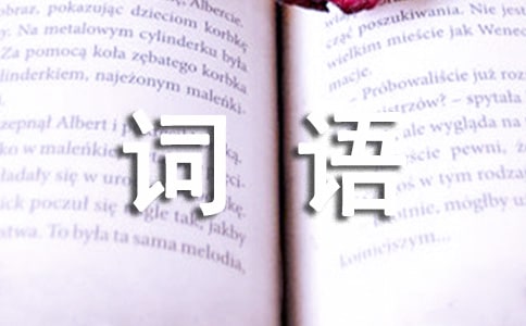 描寫(xiě)人物性格的詞語(yǔ)——眼睛