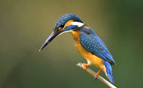 �Z(y��)�Ľ̰��������B(ni��o)��