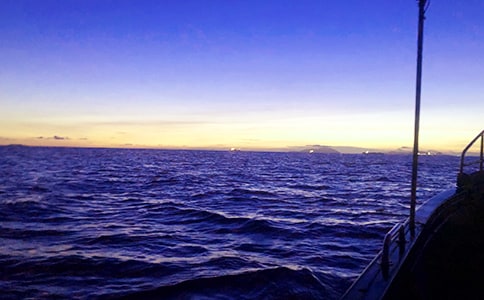 ���صĴ�����