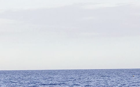 大海的呼喚作文