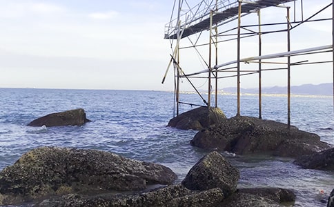 與大海的親密接觸作文