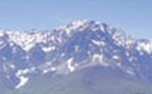 ��ɽ��(y��u)�����ģ�ͨ��55ƪ��