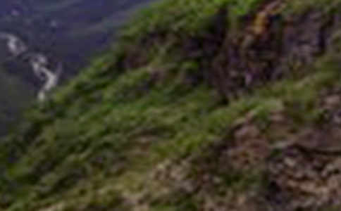 ���еĴ�ɽ���ģ�ͨ��16ƪ��