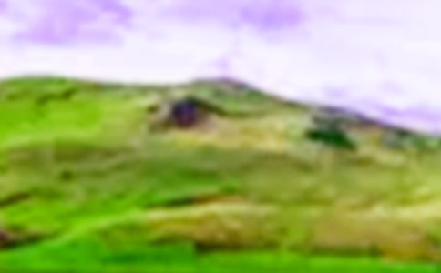 我仰望那座大山作文