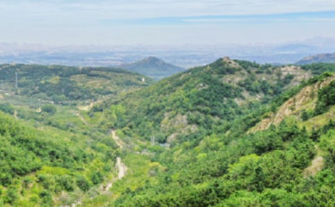 《我愛大山我愛家》教學設(shè)計