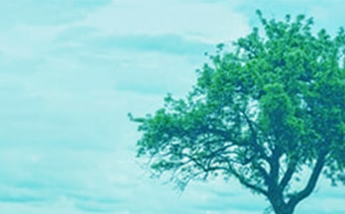 (�ϼ�)����һ�ô������