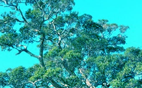 Ո�N�´��ķN��