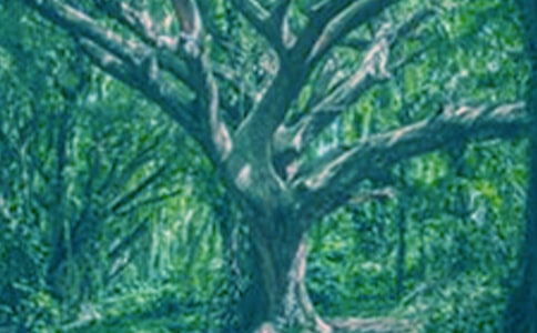 �������������\��(2ƪ)