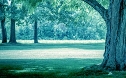 ��䃞(y��u)������