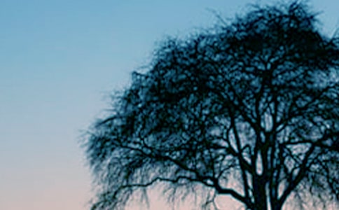 ����һ�ô�����ă�(y��u)��