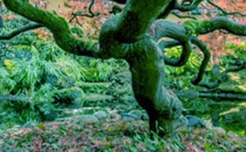 ����䘶���Ўךq���̰�