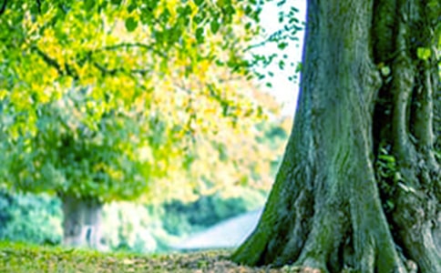 ���(sh��)���԰�����