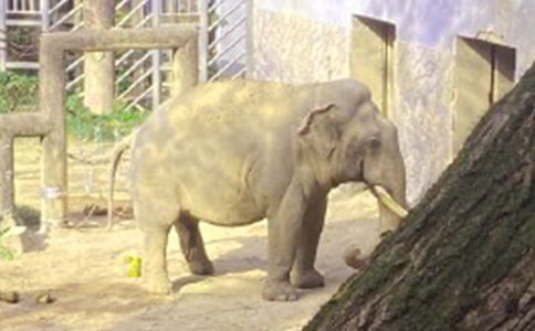 �P(gu��n)�ڴ�������ģ����x25ƪ��