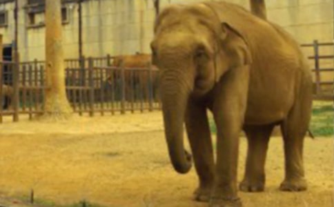 36������ʿՈ(q��ng)���֡�