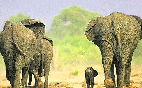 ���꼉�����ƌW(xu��)�̌W(xu��)Ӌ(j��)��