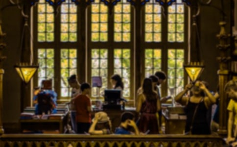 ��W(xu��)���������(b��o)��(15ƪ)