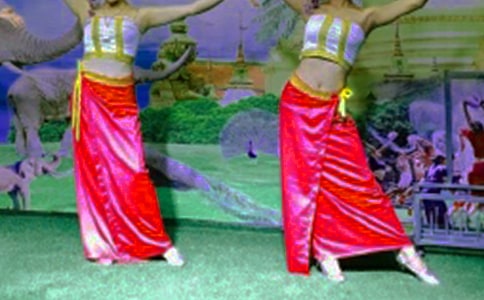 關(guān)于傣族作文12篇