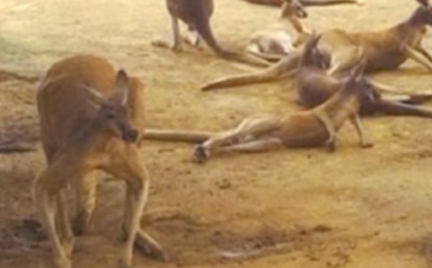 ����w���Α���(d��ng)�̰������������С���ͨ��5ƪ��