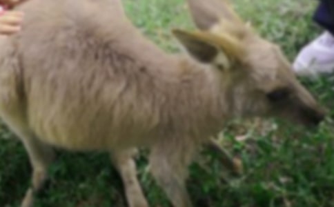 ��Ȥ�Ĵ���������