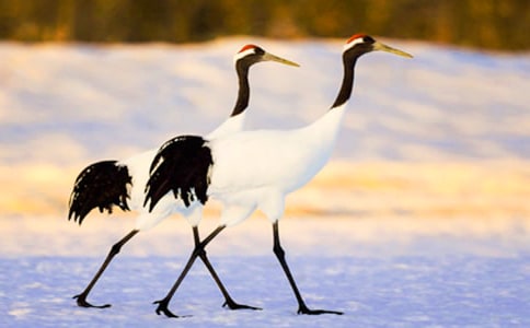 �������ĵ���Q�� ֮��