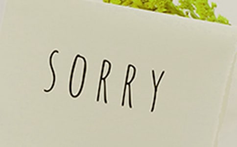 道歉的情書集合15篇