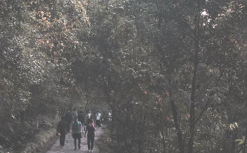 ���е�ɽ����