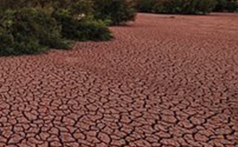 ��������������9ƪ