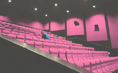 二十年后的電影院作文