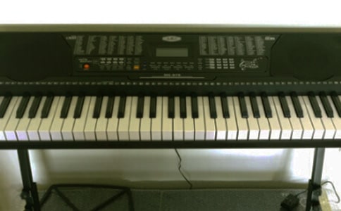 我和電子琴作文