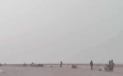 釣魚優(yōu)秀作文(經(jīng)典)