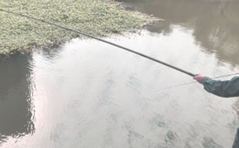 釣魚優(yōu)秀作文優(yōu)秀【15篇】