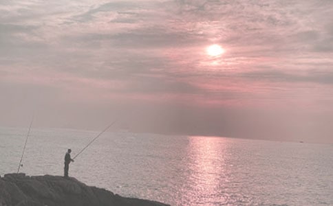 ��~�Ć�ʾ�̌W(xu��)Ӌ��