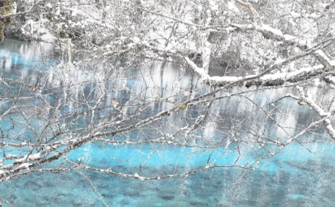 С�W�����Բ���