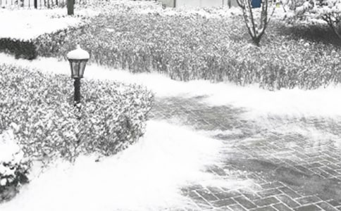 ������ȫ�Բ��淶��