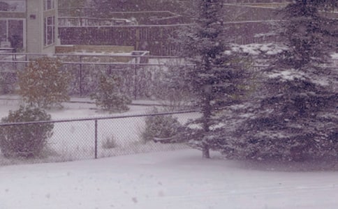 �����S��r(sh��)܇(ch��)��(l��i)�����Ľ��^���ģ�ͨ��20ƪ��