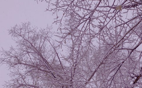 ����ů�(y��ng)���ı؂�[15ƪ]