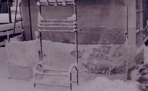 【精華】冬日日記3篇