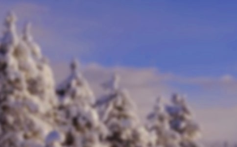 �茑����Ԋ��