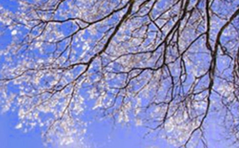 �茑������~�Z