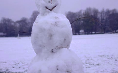 �����ѩ������