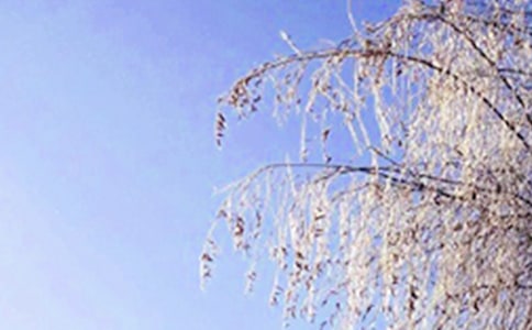 ٝ�������Ԋ��