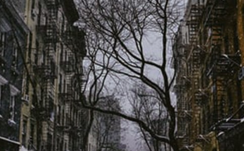 �����졷�F(xi��n)��Ԋ(sh��)��