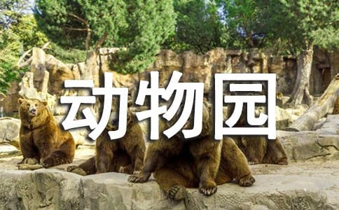 動(dòng)物園愛(ài)護(hù)動(dòng)物宣傳口號(hào)