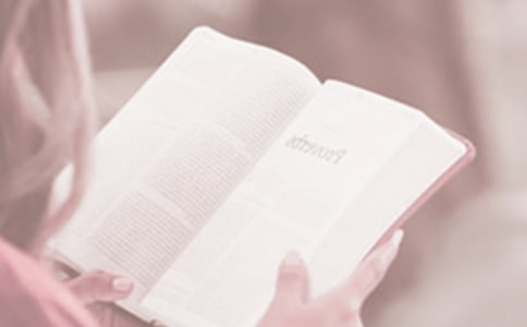 �����x�������x��(sh��)�ճ��h��(sh��)4ƪ