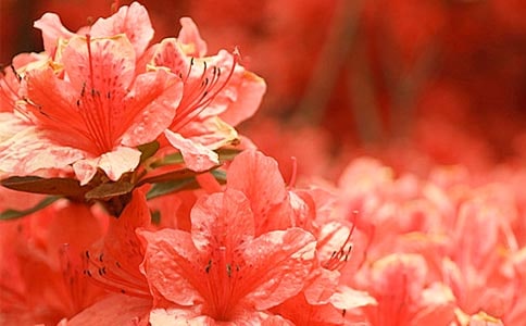 �����Ķ��N������