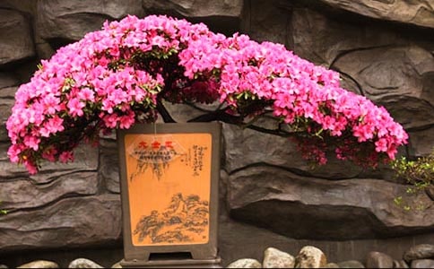 ���N��С�W(xu��)������5ƪ