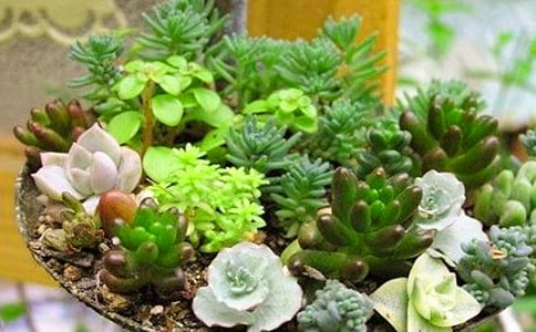 ���⃞(y��u)������