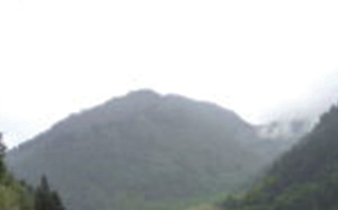 �ζ�üɽ������